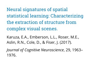 Neural signatures of spatial statistical learning: Characterizing the extraction of structure from complex visual scenes.